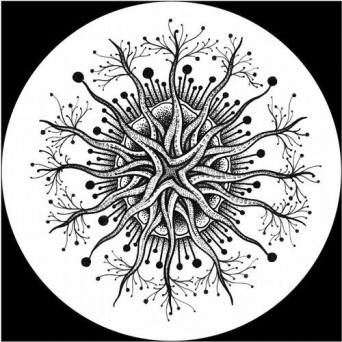 Ivan Szew – Full Circle