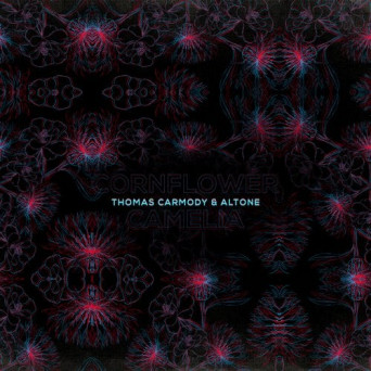 Thomas Carmody – Cornflower and Camellia
