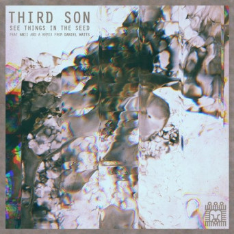 Third Son – See Things in the Seed