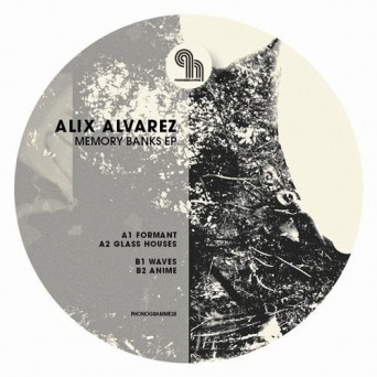 Alix Alvarez – Memory Banks