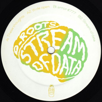 D_Roots – Stream of Data EP