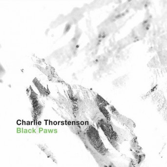 Charlie Thorstenson – Black Paws