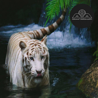 Lone – Not Seeing Is A Flower