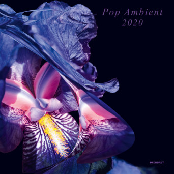 VA – Pop Ambient 2020