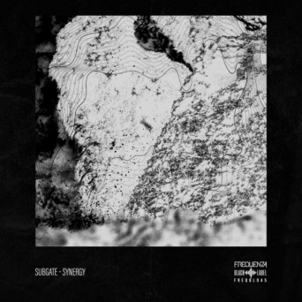 Subgate – Synergy