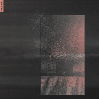 Ando Laj – Isle