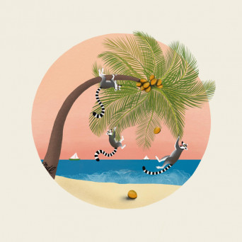 Coco à Gogo – Lo o goulo
