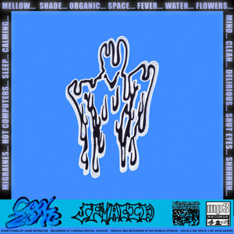 SFV ACID – Cool Zone