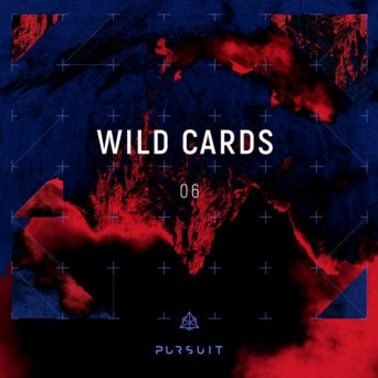 VA – Wild Cards 06