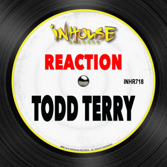 Todd Terry – Reaction