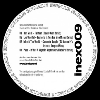 VA – InEx009 V/A Remix EP