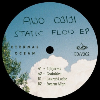 Awo Ojiji – Static Flow