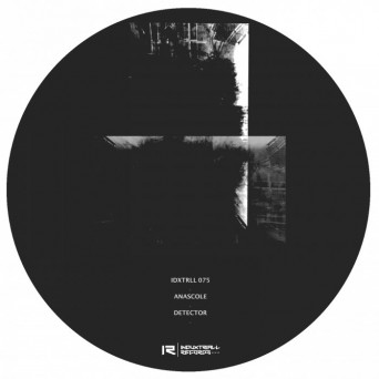 Anascole – Detector