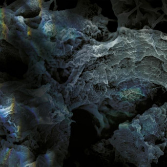 LSD – Third Process