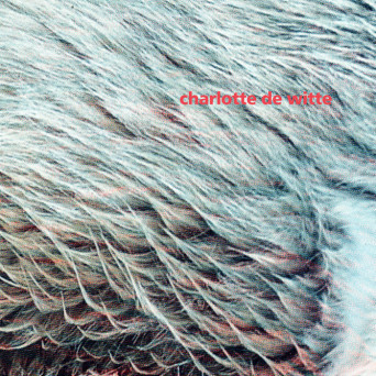 Charlotte De Witte – Vision EP