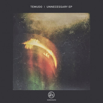 Temudo – Unnecessary EP