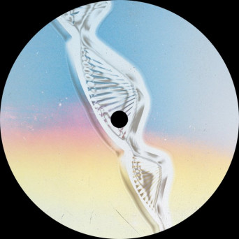 Elles – summers_of_love