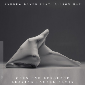 Andrew Bayer – Open End Resource