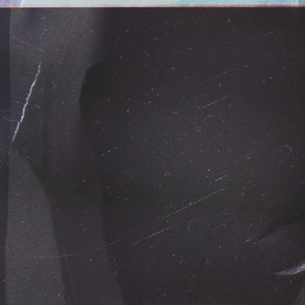 Philip Sulidae – Perplexor