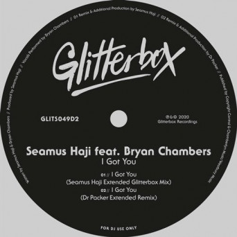 Seamus Haji,  Bryan Chambers – I Got You (feat. Bryan Chambers)