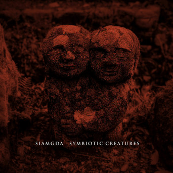 Siamgda – Symbiotic Creatures