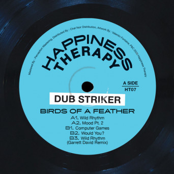 Dub Striker ‎– Happiness Therapy 07 : Birds Of A Feather