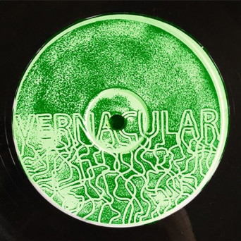 Vernacular Orchestra – Canyon 211