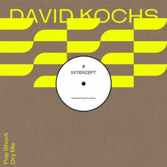 David Kochs – Pop Shock / Dry Me