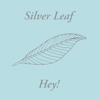 Silver Leaf – Hey!