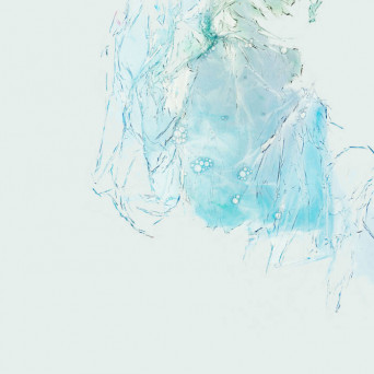 RWN – Thoughts I