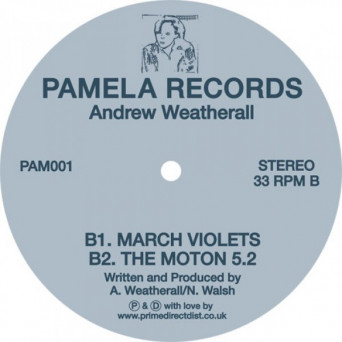 Andrew Weatherall – Pamela #1