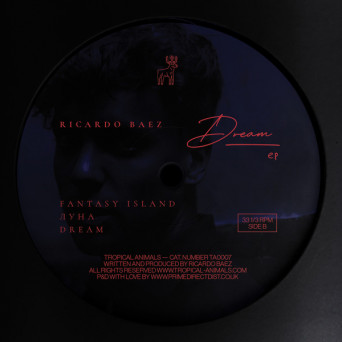 Ricardo Baez – Dream
