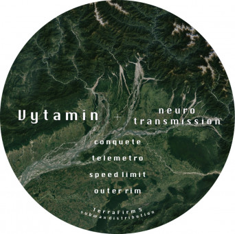 Vytamin – Neurotransmission
