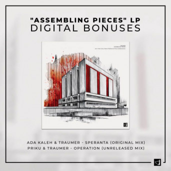 Traumer & Ada Kaleh & Priku – Assembling Pieces (Digital Bonuses)