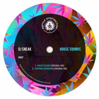 DJ Sneak – House Sounds