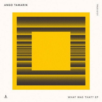 Ango Tamarin – What Was That?