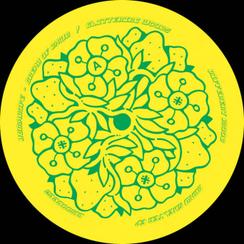 VA – Braw Shelter EP