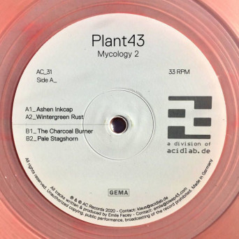 Plant43 – Mycology 2