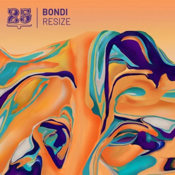 Bondi & Roth – Resize