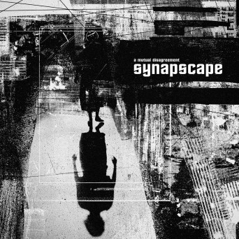 Synapscape – A Mutual Disagreement