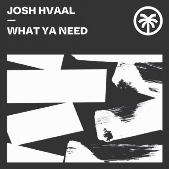 Josh Hvaal – What Ya Need
