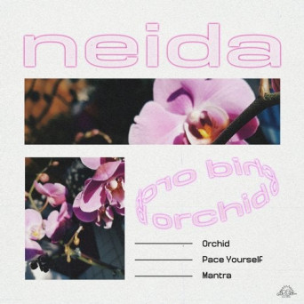 Neida – Orchid