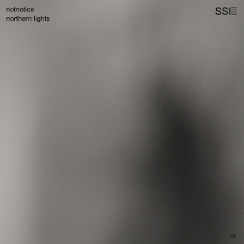 Notnotice – Northern Lights