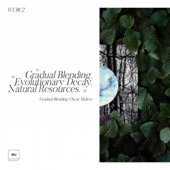 Oscar Mulero – Gradual Blending EP