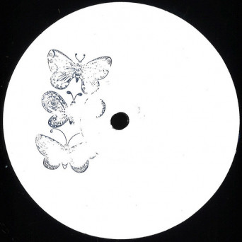 Giorgio Maulini – Spaceport