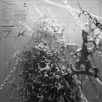 SWARMM ‎– EXTRACT / TRANSFORM / LOAD