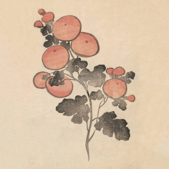 Federico Durand – Flor Imaginaria