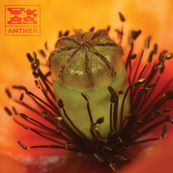 OK EG – Anther