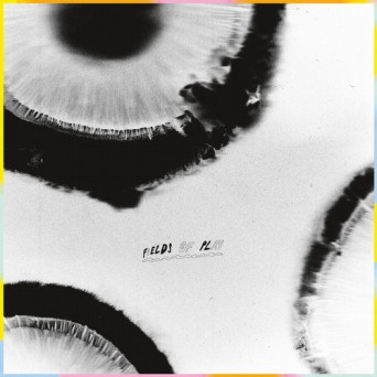 Anatta – Fields of Play