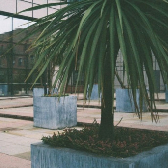 The Marx Trukker – Among Climetree Harbors